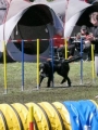 Agi_haag_30-04-2017724 Agi_haag_30-04-2017724