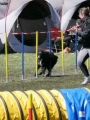 Agi_haag_30-04-2017725 Agi_haag_30-04-2017725