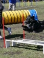 Agi_haag_30-04-2017729 Agi_haag_30-04-2017729