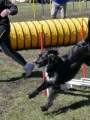 Agi_haag_30-04-2017730 Agi_haag_30-04-2017730