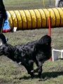 Agi_haag_30-04-2017731 Agi_haag_30-04-2017731