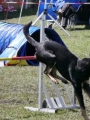 Agi_haag_30-04-2017732 Agi_haag_30-04-2017732