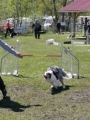 Agi_haag_30-04-2017741 Agi_haag_30-04-2017741