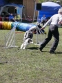 Agi_haag_30-04-2017745 Agi_haag_30-04-2017745