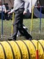 Agi_haag_30-04-2017750 Agi_haag_30-04-2017750