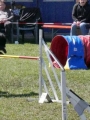Agi_haag_30-04-2017769 Agi_haag_30-04-2017769