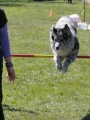 Agi_haag_30-04-2017775 Agi_haag_30-04-2017775