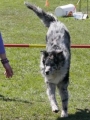 Agi_haag_30-04-2017776 Agi_haag_30-04-2017776