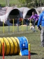 Agi_haag_30-04-2017824 Agi_haag_30-04-2017824