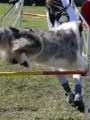 Agi_haag_30-04-2017832 Agi_haag_30-04-2017832