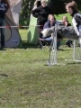 Agi_haag_30-04-2017836 Agi_haag_30-04-2017836