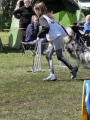 Agi_haag_30-04-2017838