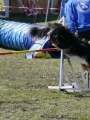 Agi_haag_30-04-2017892