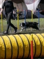Agi_haag_30-04-2017895