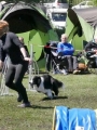Agi_haag_30-04-2017898 Agi_haag_30-04-2017898