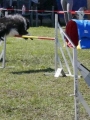 Agi_haag_30-04-2017899 Agi_haag_30-04-2017899
