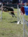 Agi_haag_30-04-2017900 Agi_haag_30-04-2017900