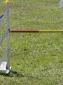 Agi_haag_30-04-2017906 Agi_haag_30-04-2017906