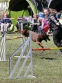 Agi_haag_30-04-2017907 Agi_haag_30-04-2017907