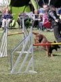 Agi_haag_30-04-2017908 Agi_haag_30-04-2017908