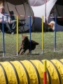 Agi_haag_30-04-2017912 Agi_haag_30-04-2017912