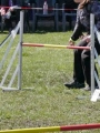 Agi_haag_30-04-2017913 Agi_haag_30-04-2017913