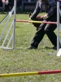Agi_haag_30-04-2017914 Agi_haag_30-04-2017914