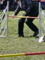 Agi_haag_30-04-2017916 Agi_haag_30-04-2017916