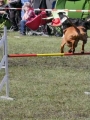 Agi_haag_30-04-2017917 Agi_haag_30-04-2017917