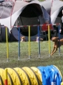 Agi_haag_30-04-2017921 Agi_haag_30-04-2017921