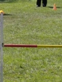 Agi_haag_30-04-2017926 Agi_haag_30-04-2017926