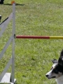 Agi_haag_30-04-2017928 Agi_haag_30-04-2017928