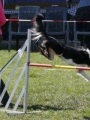 Agi_haag_30-04-2017933 Agi_haag_30-04-2017933