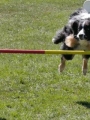 Agi_haag_30-04-2017936 Agi_haag_30-04-2017936
