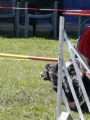 Agi_haag_30-04-2017939