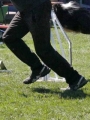 Agi_haag_30-04-2017941