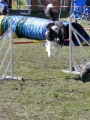 Agi_haag_30-04-2017953