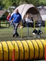 Agi_haag_30-04-2017957