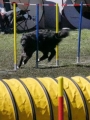 Agi_haag_30-04-2017981 Agi_haag_30-04-2017981