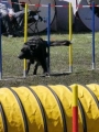 Agi_haag_30-04-2017982 Agi_haag_30-04-2017982