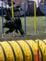 Agi_haag_30-04-2017983 Agi_haag_30-04-2017983