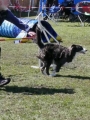 Agi_haag_30-04-2017990 Agi_haag_30-04-2017990