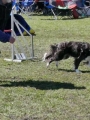 Agi_haag_30-04-2017991 Agi_haag_30-04-2017991