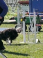 Agi_haag_30-04-2017996 Agi_haag_30-04-2017996