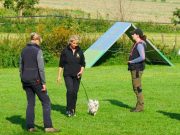 IMG_Bh2017-sept-019
