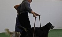 IMG_DD-2018-011