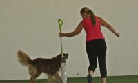 IMG_DD-2018-072