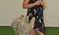 IMG_DD-2018-078