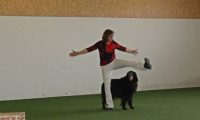 IMG_DD-2018-100