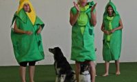 IMG_DD-2018-124
